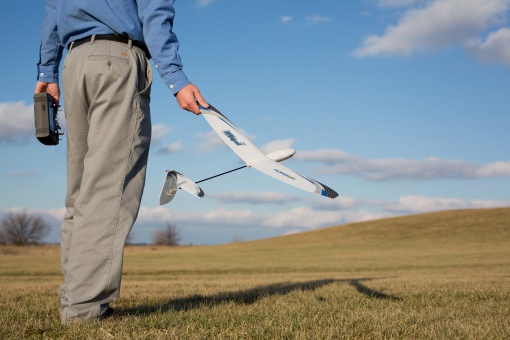 E-Flite - Planeur lancé main UMX Whipit DLG – Image 4