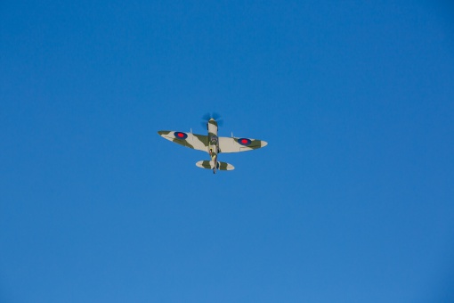 E-Flite - Spitfire Mk XIV 1,2m (BNF) – Image 14